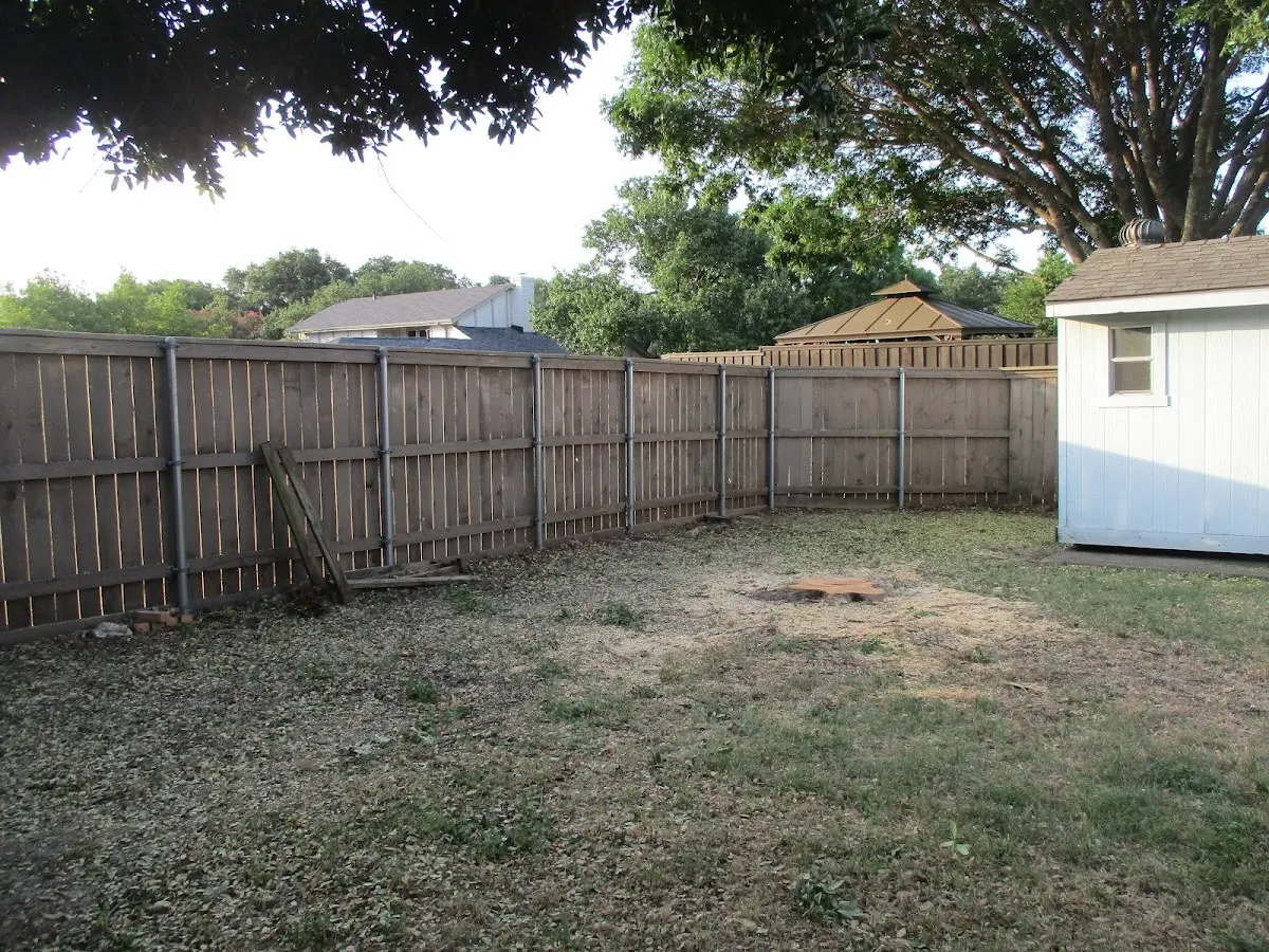 Cleared yard after professional tree removal in Meadow Vista